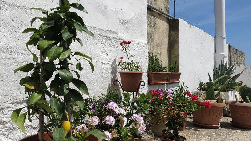 Volver B&B Лечче Экстерьер фото